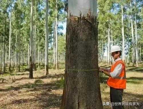 乌拉圭人口(“乌拉圭”现状，带你看看真实的乌拉圭)