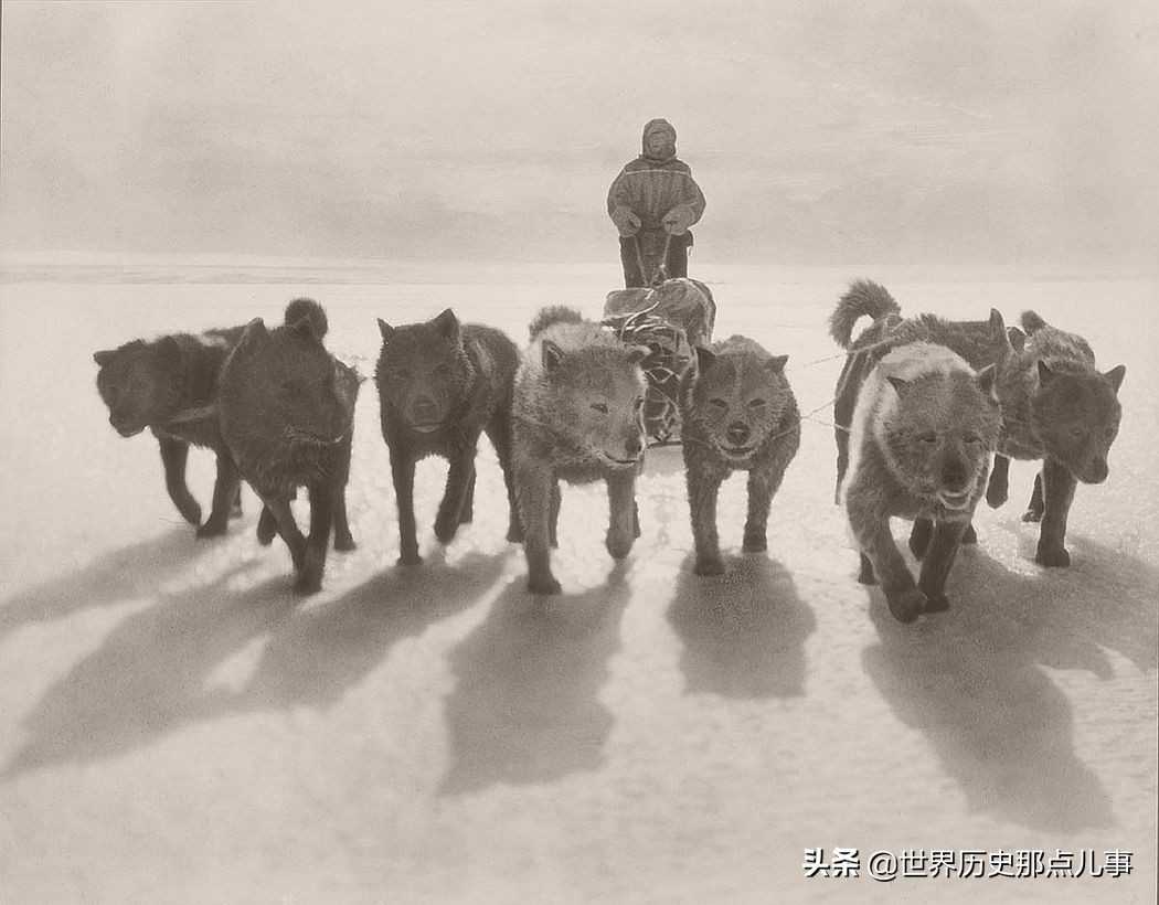 尼尼斯(100年前，澳大利亚探险队赴南极考察，看摄影师都拍下了什么？)