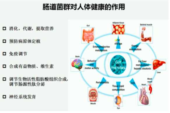 卡洛斯罗德里格斯(我吃得不多，还做运动，不应该这么胖！我做错了什么？)