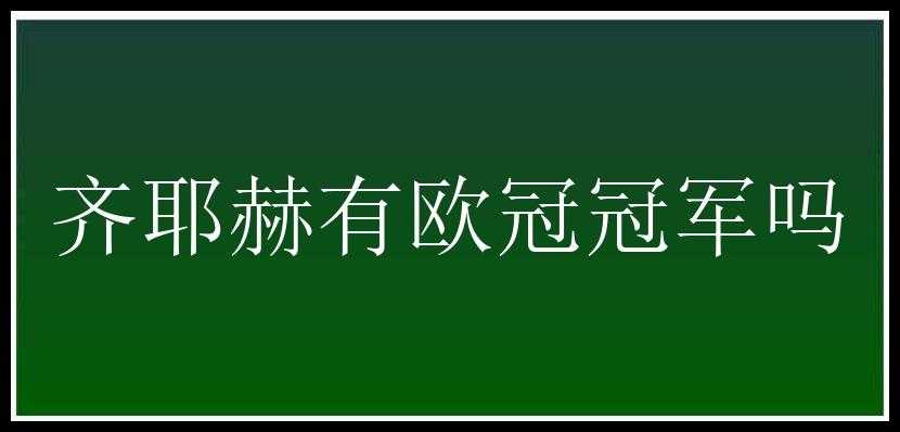 齐耶赫有欧冠冠军吗