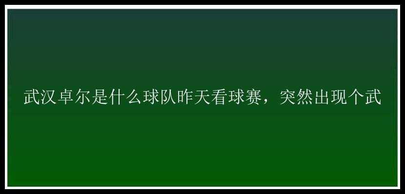 武汉卓尔是什么球队昨天看球赛，突然出现个武