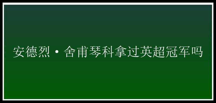 安德烈·舍甫琴科拿过英超冠军吗