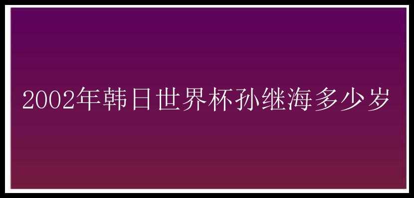 2002年韩日世界杯孙继海多少岁