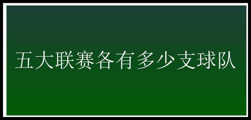 五大联赛各有多少支球队