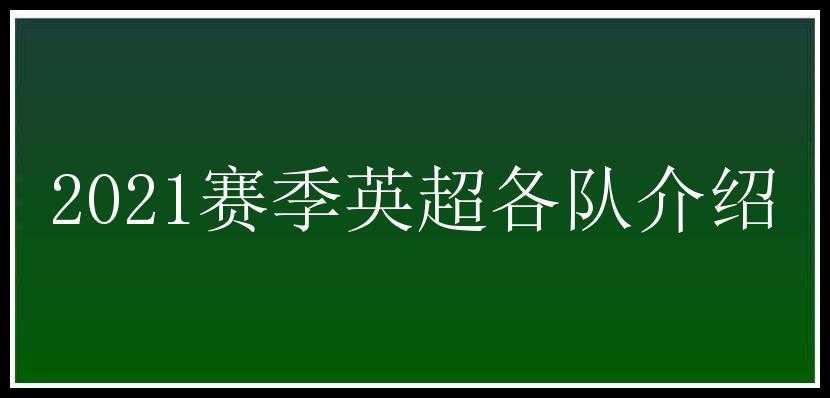 2021赛季英超各队介绍