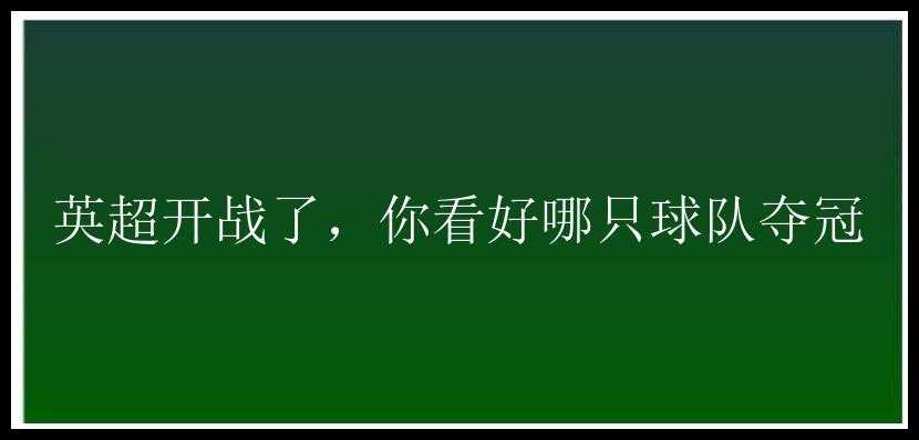 英超开战了，你看好哪只球队夺冠