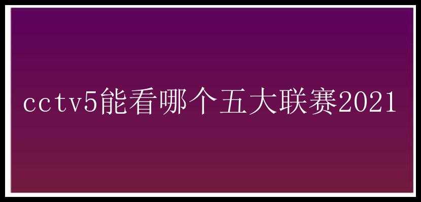 cctv5能看哪个五大联赛2021