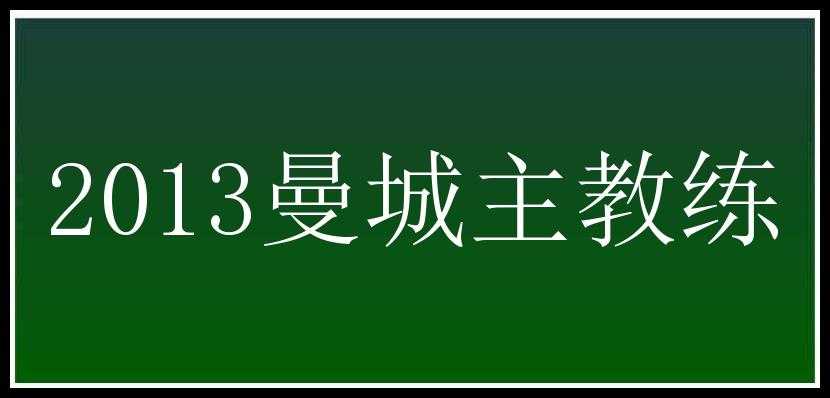 2013曼城主教练