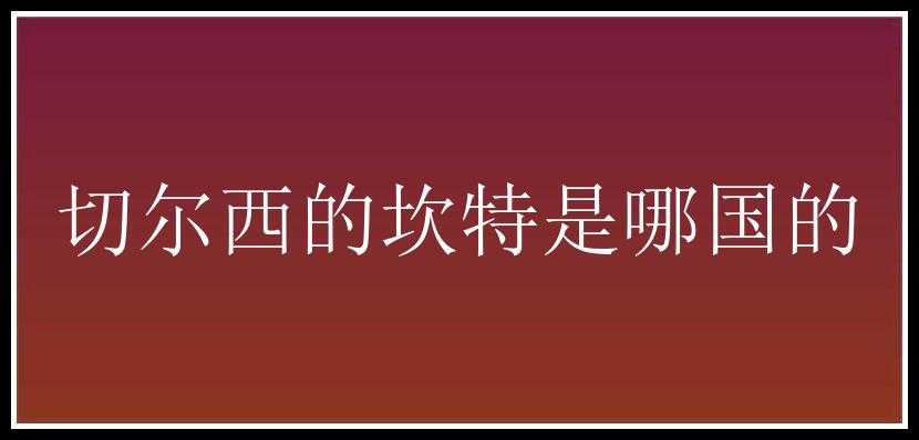 切尔西的坎特是哪国的