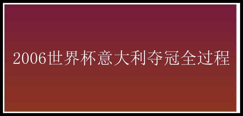 2006世界杯意大利夺冠全过程