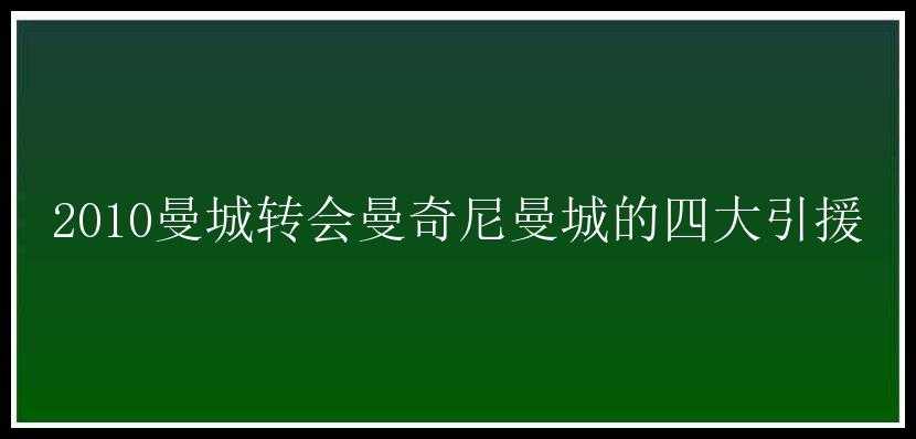 2010曼城转会曼奇尼曼城的四大引援