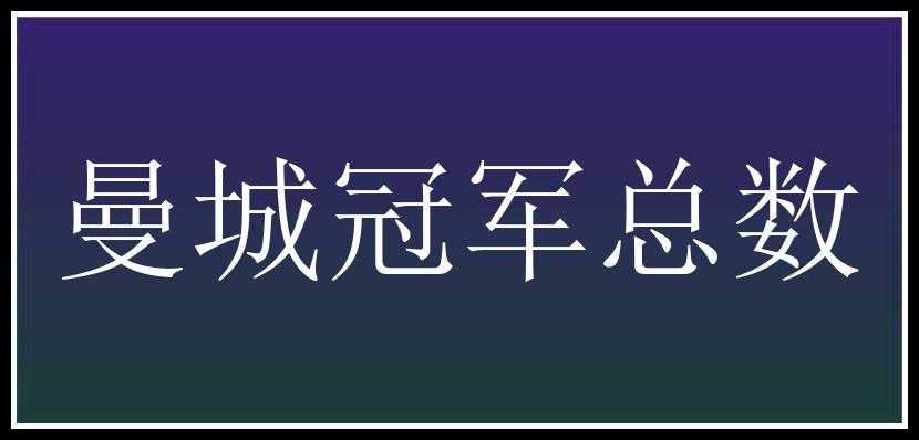 曼城冠军总数