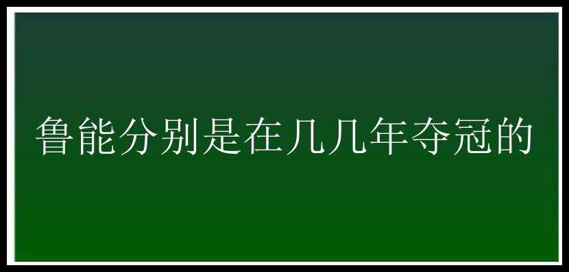 鲁能分别是在几几年夺冠的