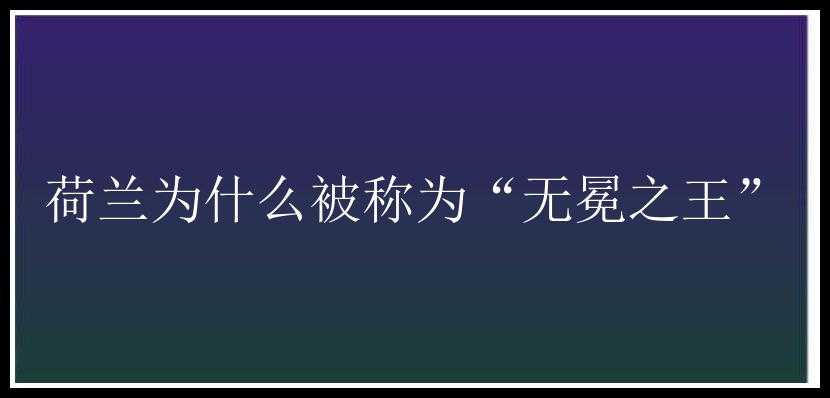 荷兰为什么被称为“无冕之王”