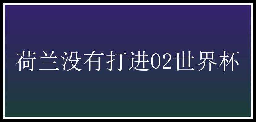 荷兰没有打进02世界杯