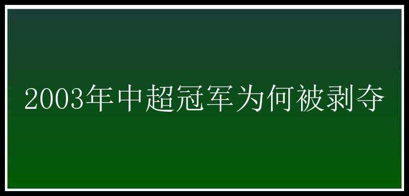 2003年中超冠军为何被剥夺