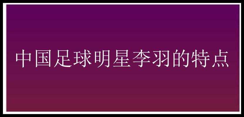 中国足球明星李羽的特点