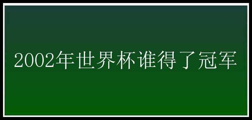 2002年世界杯谁得了冠军