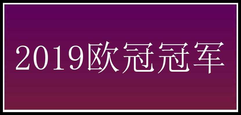 2019欧冠冠军