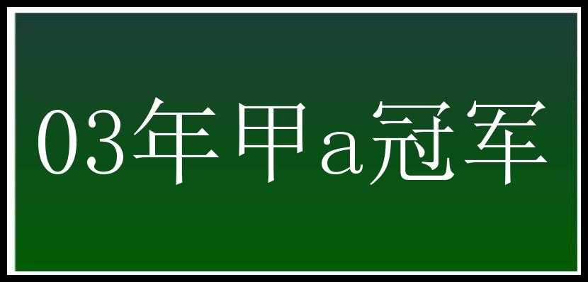 03年甲a冠军