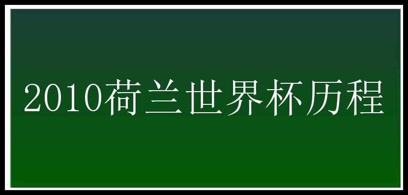 2010荷兰世界杯历程