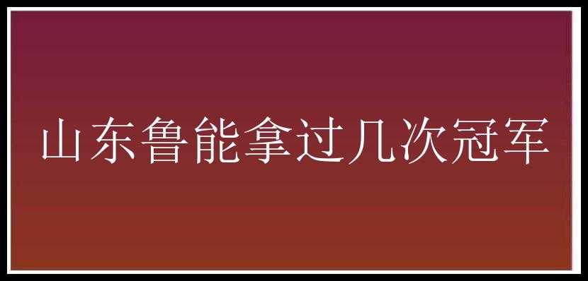 山东鲁能拿过几次冠军