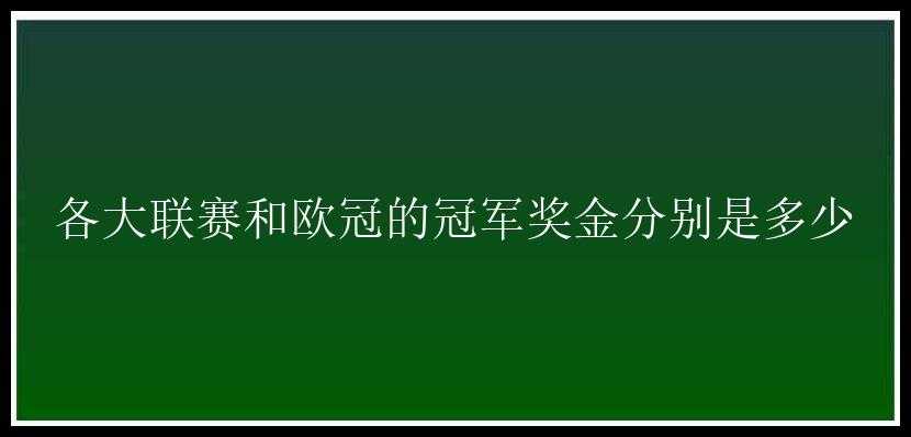 各大联赛和欧冠的冠军奖金分别是多少