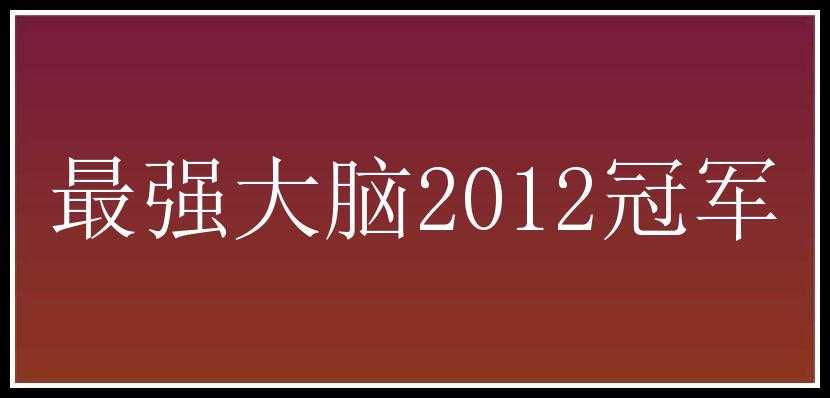 最强大脑2012冠军