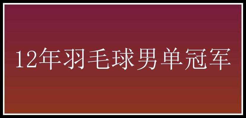 12年羽毛球男单冠军