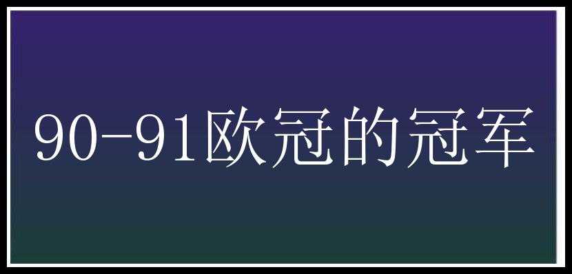 90-91欧冠的冠军