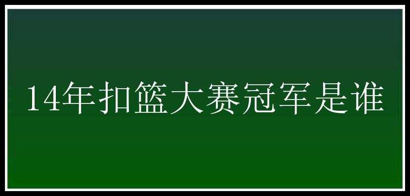 14年扣篮大赛冠军是谁