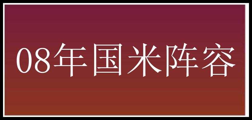 08年国米阵容