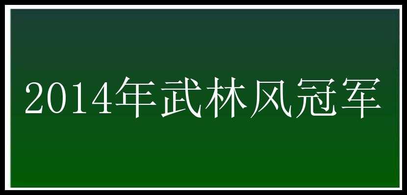 2014年武林风冠军