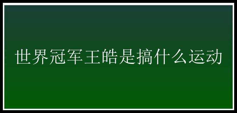 世界冠军王皓是搞什么运动