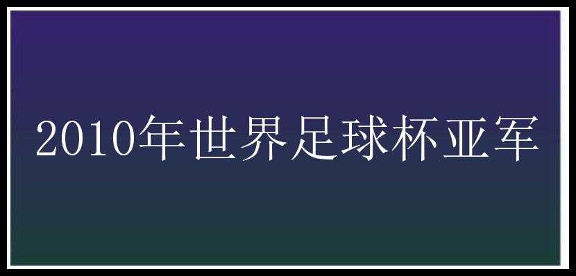 2010年世界足球杯亚军