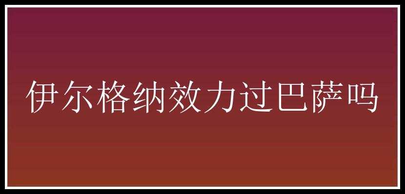 伊尔格纳效力过巴萨吗