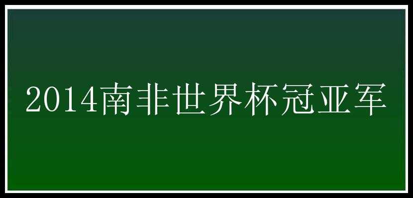 2014南非世界杯冠亚军