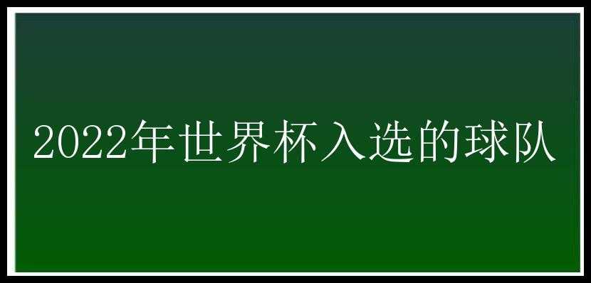 2022年世界杯入选的球队