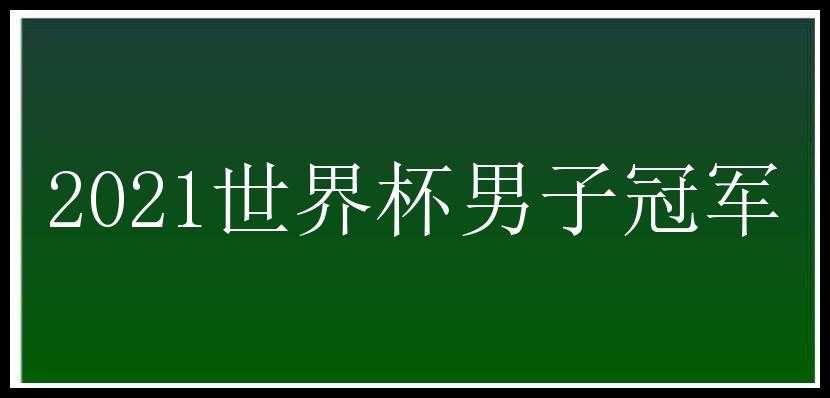 2021世界杯男子冠军