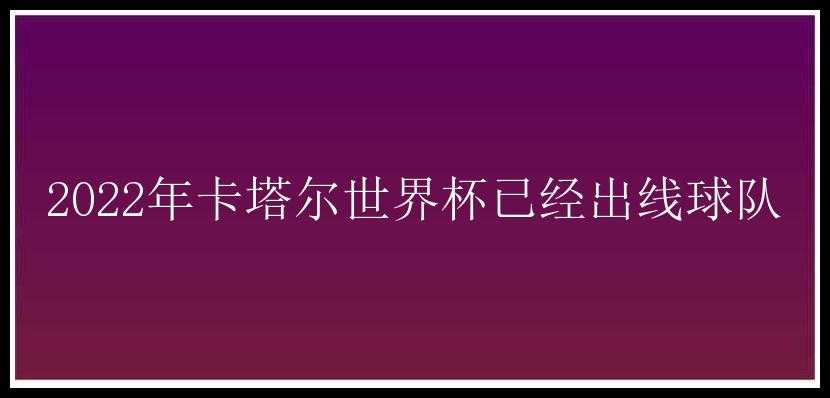 2022年卡塔尔世界杯已经出线球队