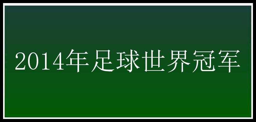 2014年足球世界冠军