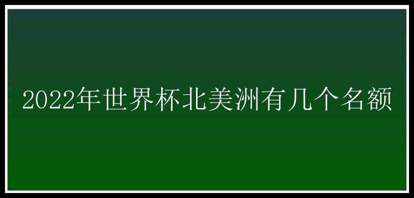 2022年世界杯北美洲有几个名额