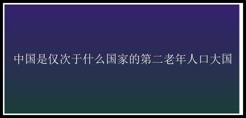 中国是仅次于什么国家的第二老年人口大国