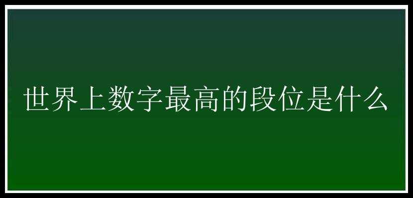 世界上数字最高的段位是什么