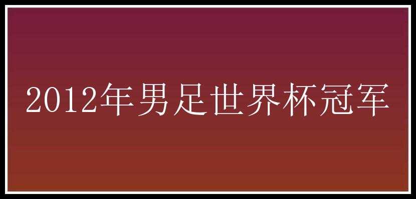 2012年男足世界杯冠军