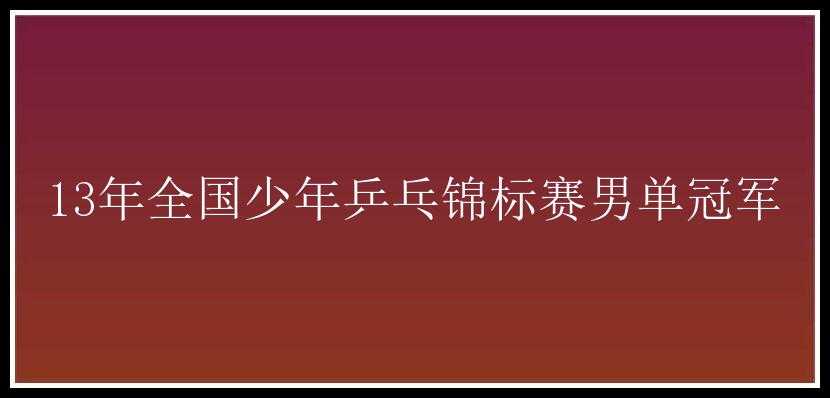 13年全国少年乒乓锦标赛男单冠军