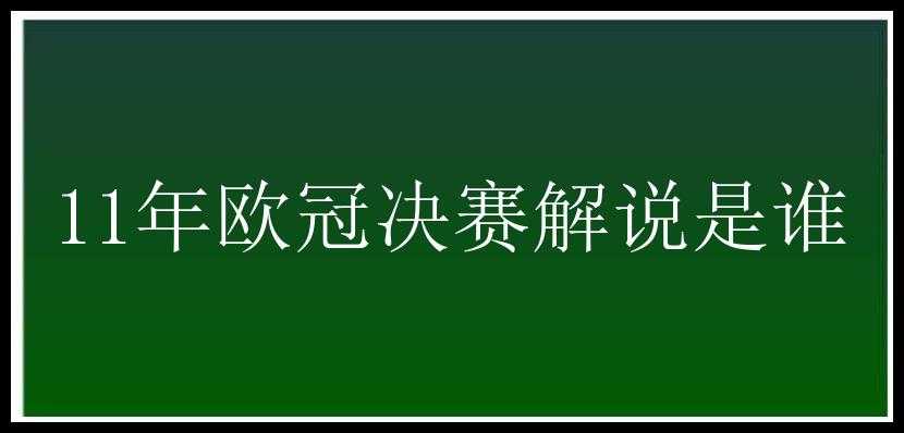 11年欧冠决赛解说是谁