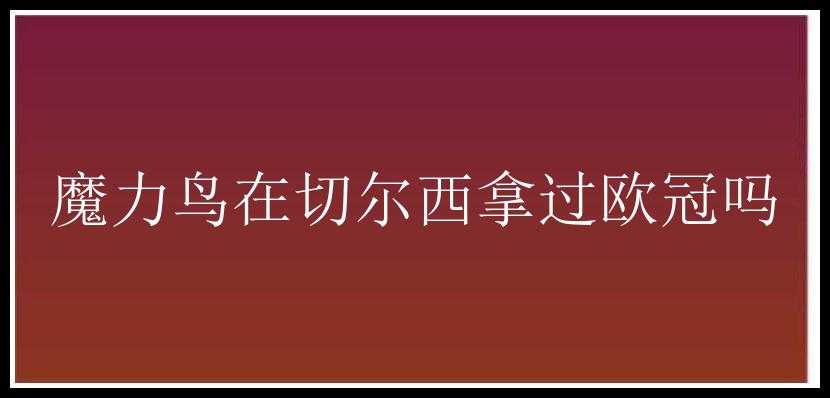 魔力鸟在切尔西拿过欧冠吗