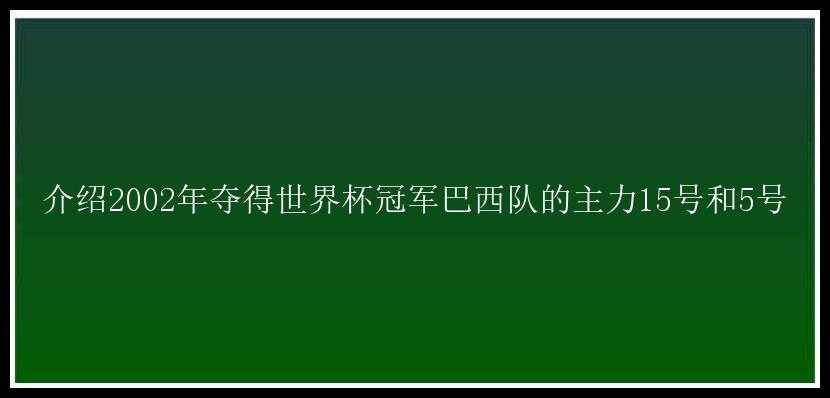 介绍2002年夺得世界杯冠军巴西队的主力15号和5号