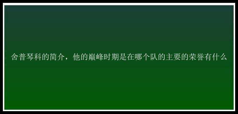 舍普琴科的简介，他的巅峰时期是在哪个队的主要的荣誉有什么